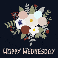 Wednesday Morning Flowers GIF by Babybluecat