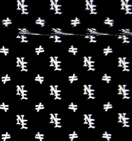 noequalnewyork GIF