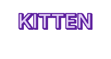 Kitten Sticker by Petco Love