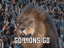 Detroit Lions Football GIF by Sealed With A GIF