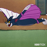 Chasing Tom And Jerry GIF by Max