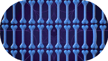 Trick Or Treat Halloween GIF by Discovery LA