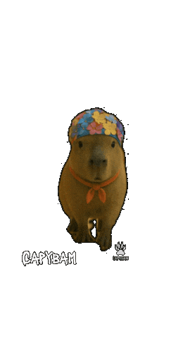 Fashion Swimming Sticker