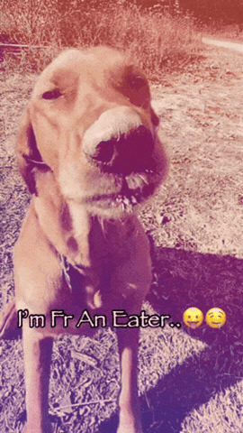 Eater Freck GIF