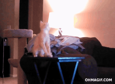 https://media0.giphy.com/media/oFFu9O7Bd268o/giphy.gif