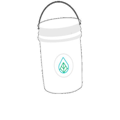 Minteco Sticker by Mint Eco Car Wash