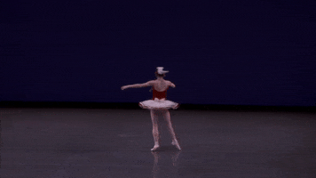 megan fairchild ballerina GIF by New York City Ballet