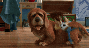 Toy Story Dog Gif By Disney Pixar Toy Story Dog Gif By Disney Pixar