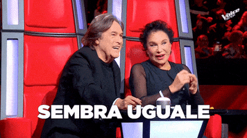 The Voice Senior Coach GIF by The Voice of Italy