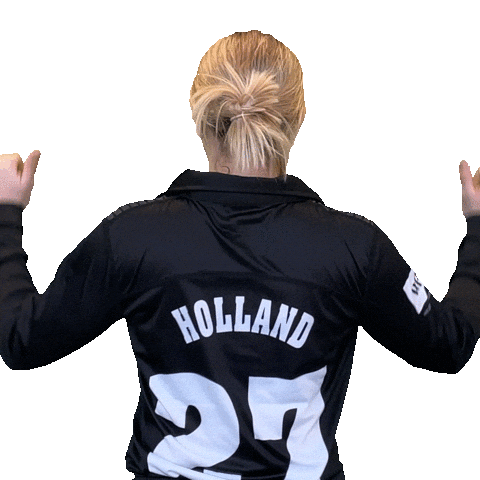 Logo Point Sticker by Somerset County Cricket Club