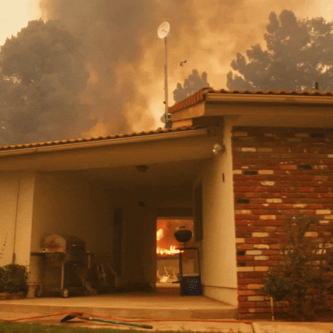 Los Angeles California GIF by PBS Digital Studios