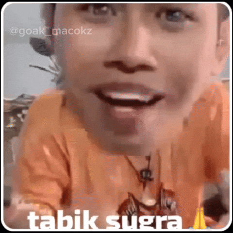 Meme Bali GIF