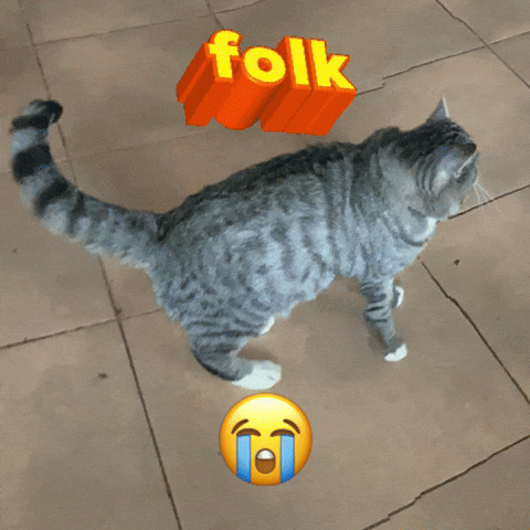 Felix Bobo GIF