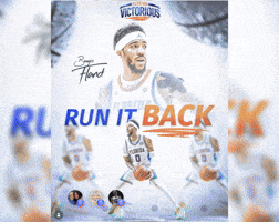 Florida Gators GIF