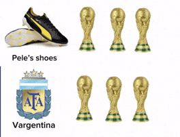 World Cup Argentina GIF