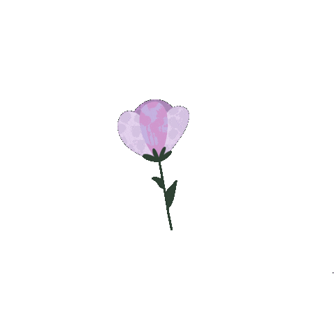 Flores Sticker by Mupe Cuadernos