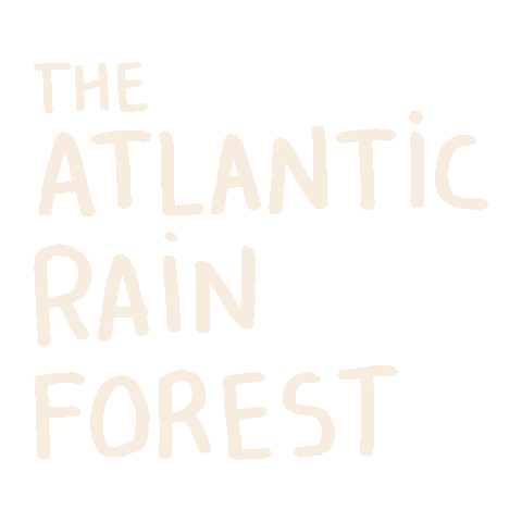 Forest Atlantic Sticker by Pipe Content House