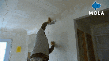 Art Living GIF by MolaTV