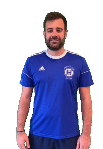 Hsv Sticker by SVHeek