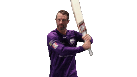 Cricket Bbl Sticker by Hobart Hurricanes for iOS & Android