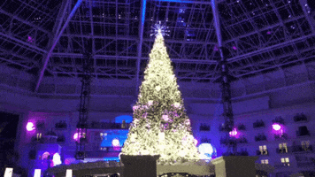 Christmas GIF