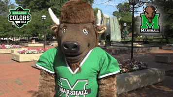 Excited Stand Up GIF by College Colors Day