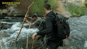 Wading Nat Geo GIF by National Geographic Channel