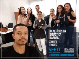Sefit Ginã¡Stica Laboral GIF