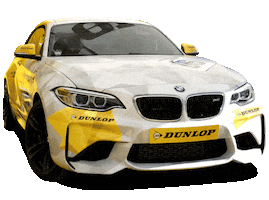 Car Flash Sticker by Dunlop Germany