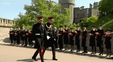 prince harry GIF by BBC