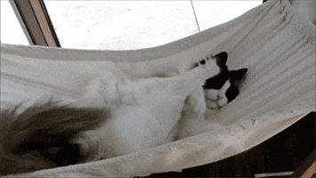 relax GIF