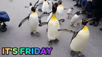 excited friday GIF by Basel