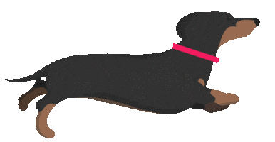 Illustration Running Sticker by Vitality