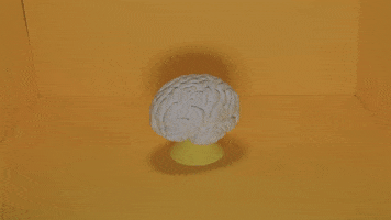 CJEcantons GIF