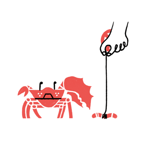 Summer Sticker