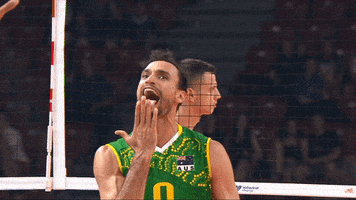 High Five Green And Gold GIF by Volleyball World