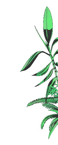 Francofolies de la Réunion Sticker