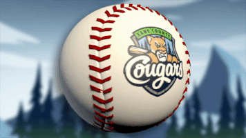 baseball your cougars GIF by Kane County Cougars
