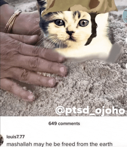 Ptsdojoho GIF