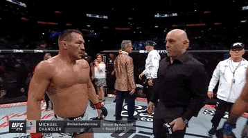 Mixed Martial Arts Fighting GIF by UFC