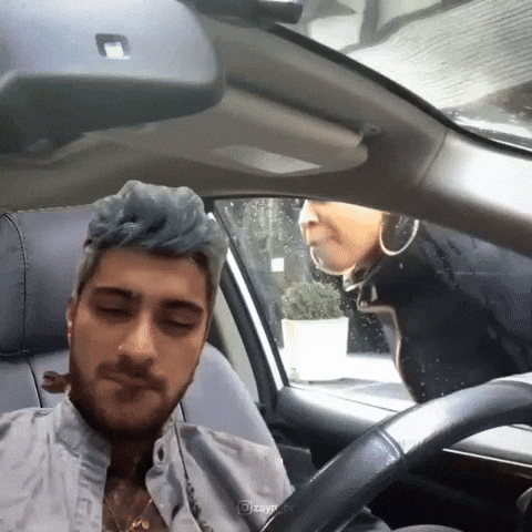 Zbr GIF