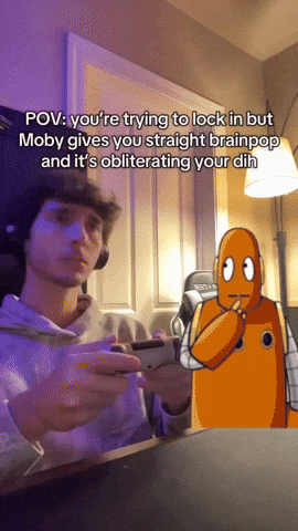 What Is This Reel GIF