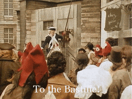 bastille day 14 juillet GIF