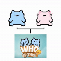 Spainnubcat GIF