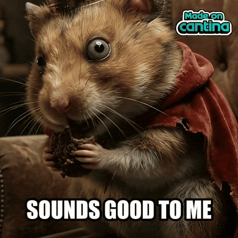 Good Morning No GIF by Cantina
