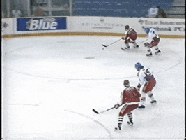 Гашек GIF