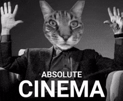 Catmemes GIF