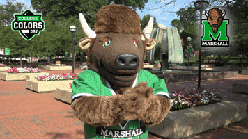 College Sports Clapping GIF by College Colors Day