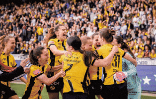 Bscyb GIF by BSC Young Boys