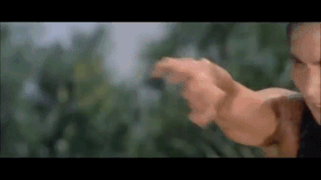 five shaolin masters GIF by Shaw Brothers